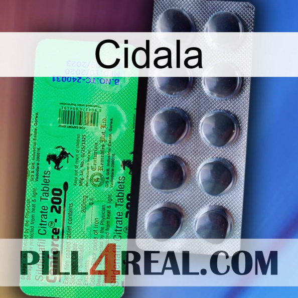 Cidala new04.jpg